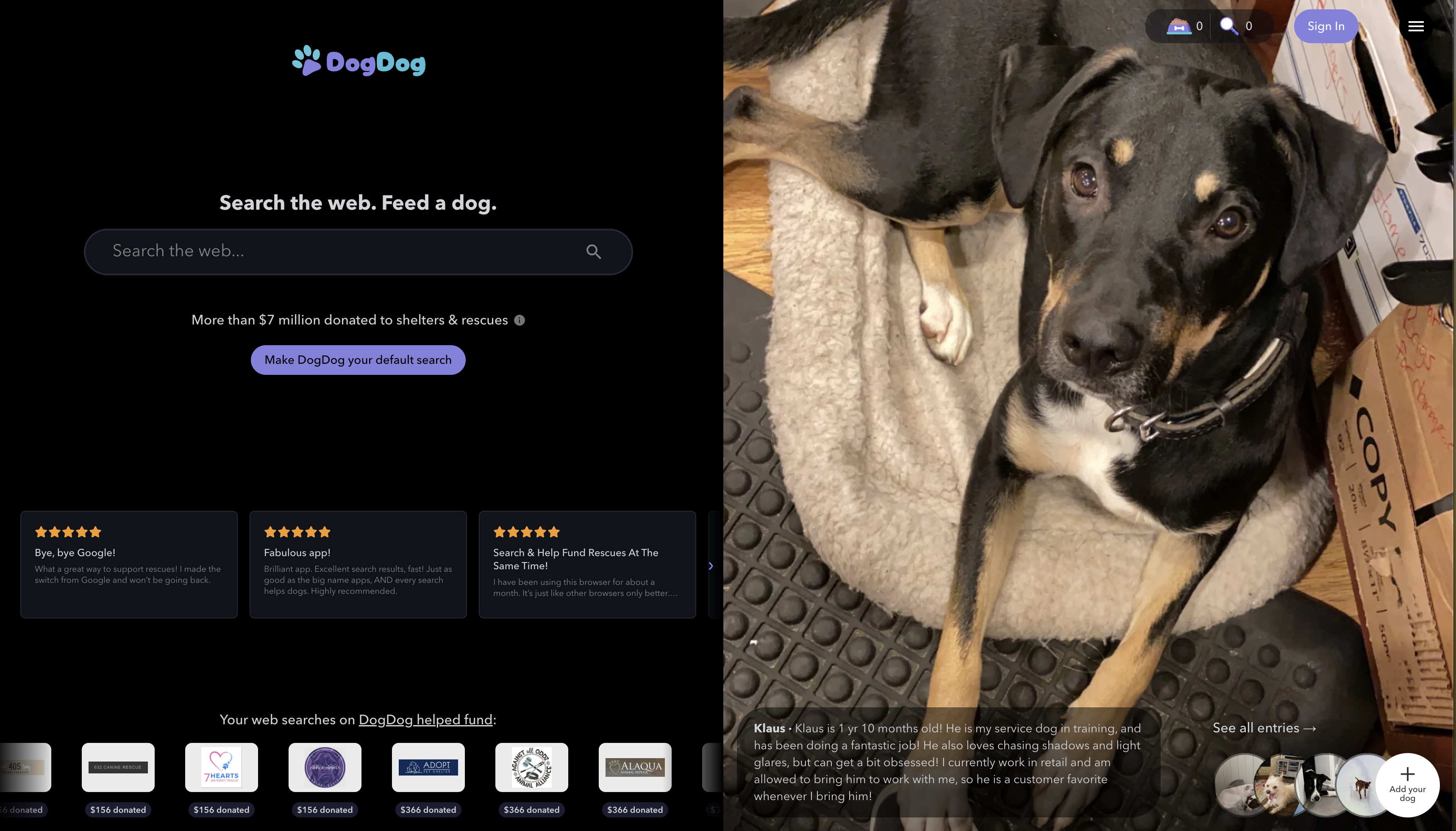 DogDog