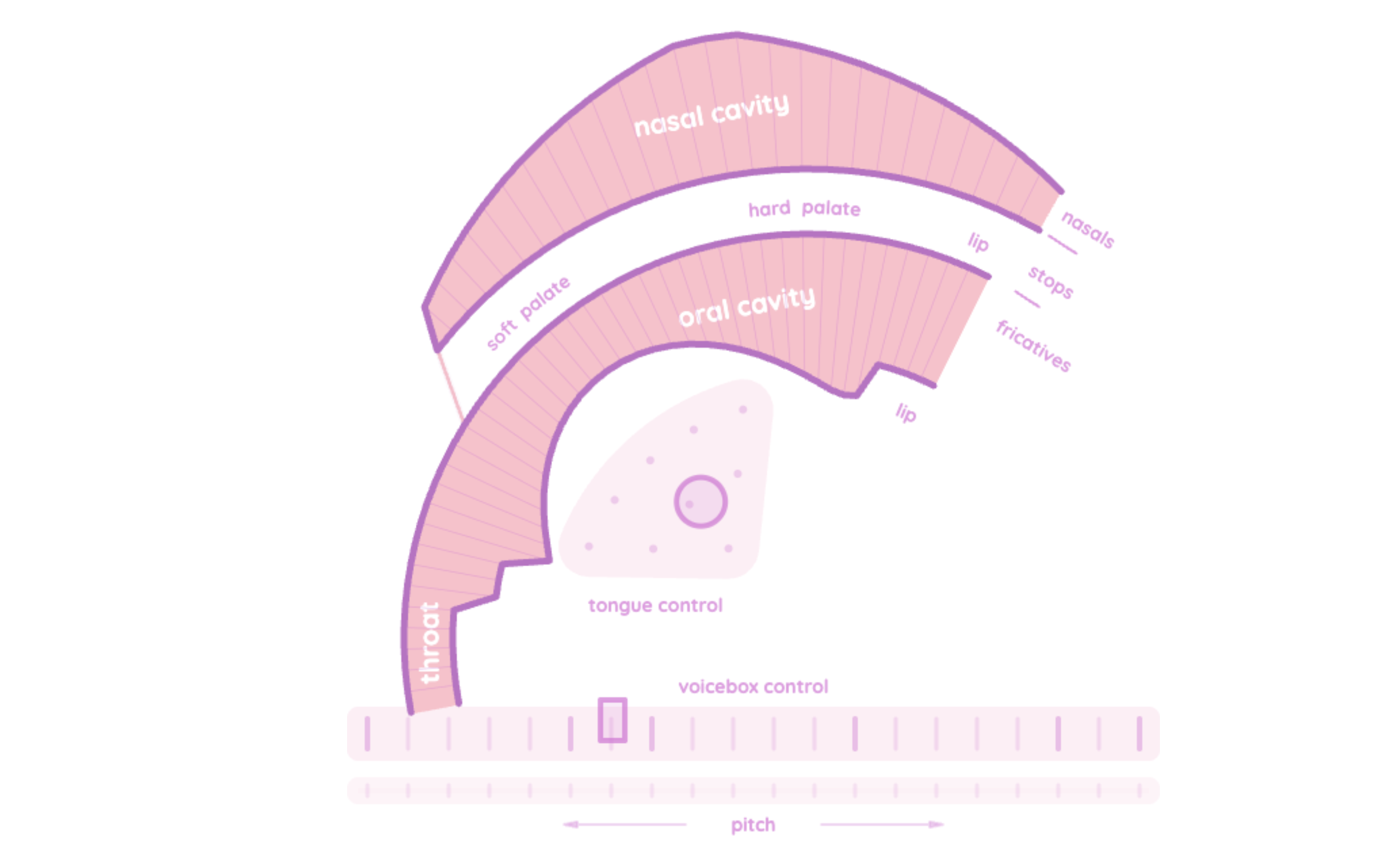 Pink Trombone